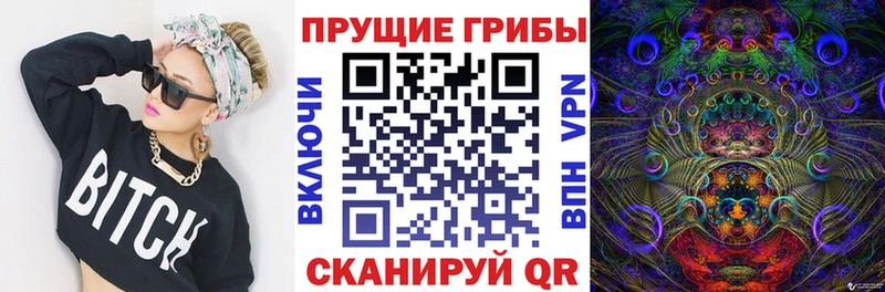 Купить закладки  Нариманов  Псилоцибиновые грибы GOLDEN TEACHER 
